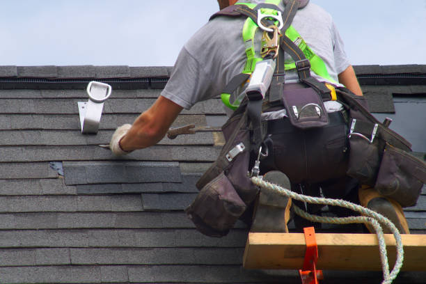 Best Roof Gutter Cleaning  in Columbus, MN