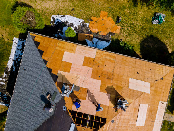 Best Roof Repair Services  in Columbus, MN