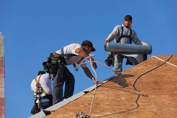 Roof Gutter Cleaning in Columbus, MN