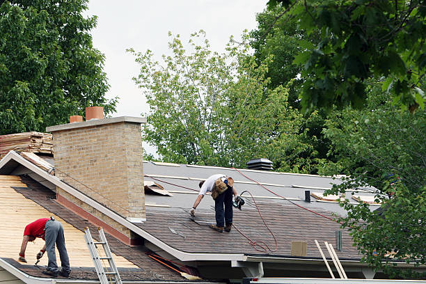 Best Roof Maintenance Services  in Columbus, MN