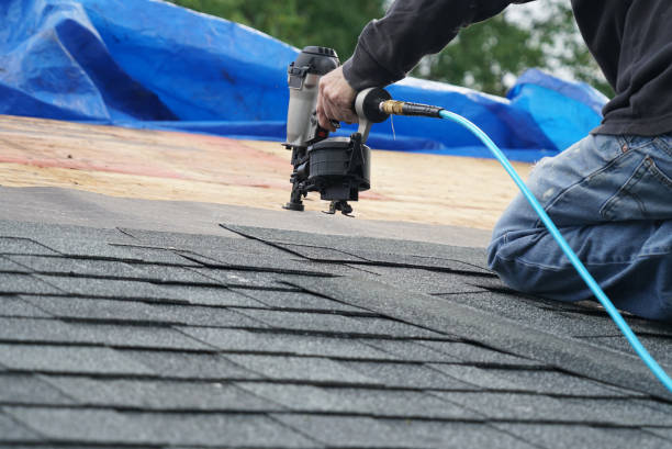 Professional Roofing Contractor in Columbus, MN