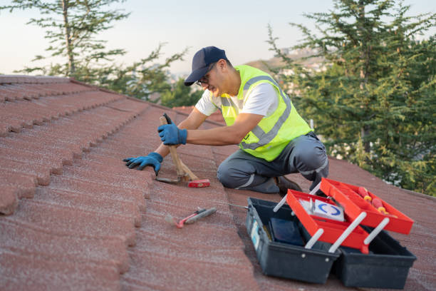 Best Commercial Roofing Services  in Columbus, MN
