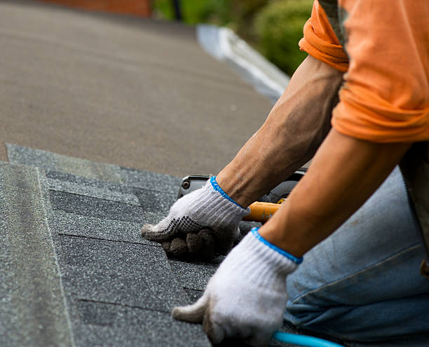 Best Roof Leak Repair  in Columbus, MN