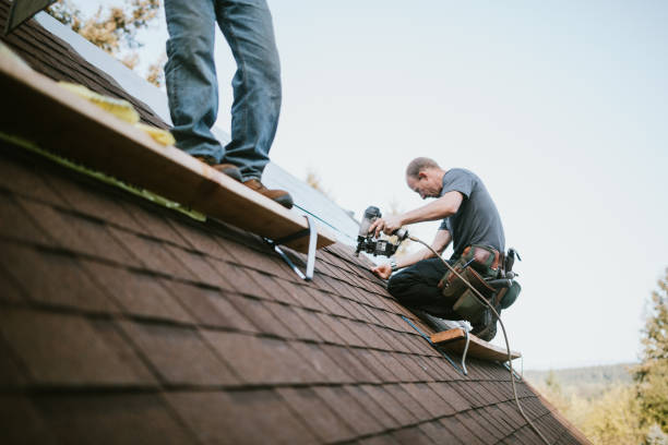 Best Metal Roofing Contractor  in Columbus, MN