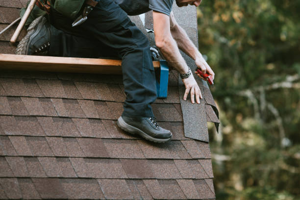 Best New Roof Installation  in Columbus, MN