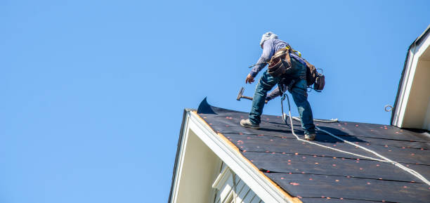 Residential Roof Replacement in Columbus, MN